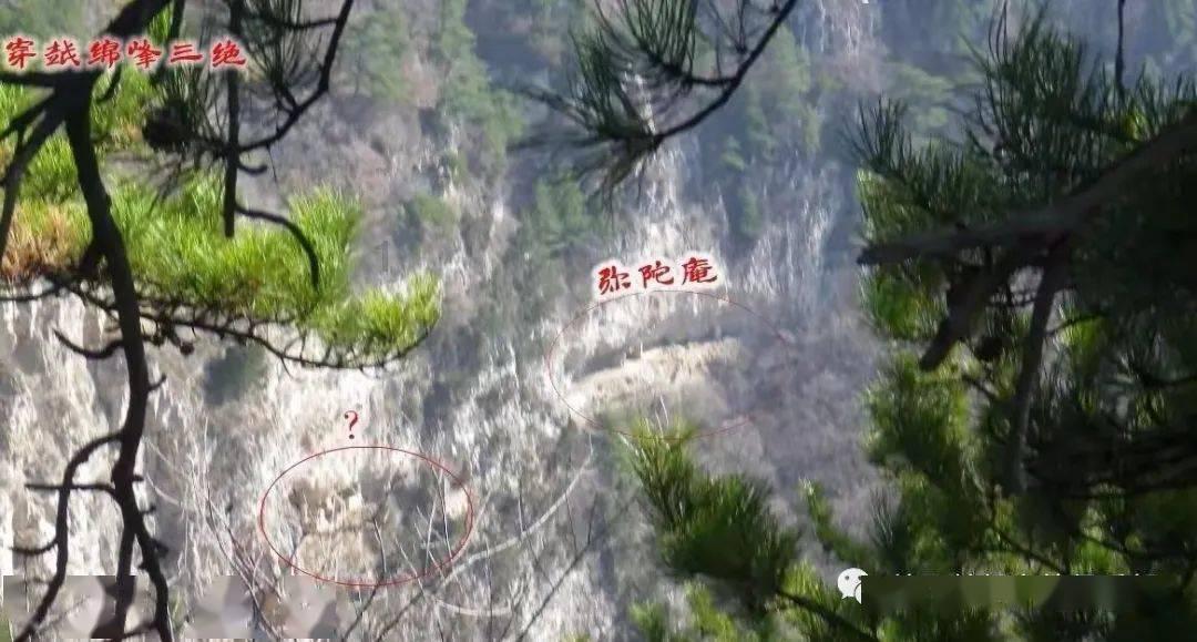 阿提拉：全面战争