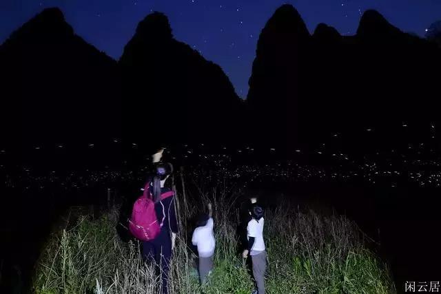 羊肉汤怎么炖游戏画面