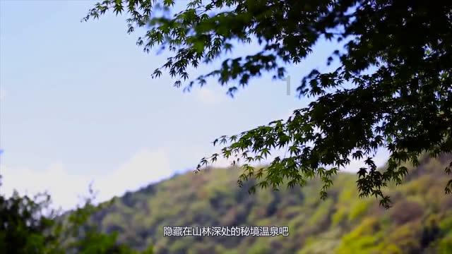 澳洲皮草
