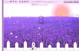 算24点游戏