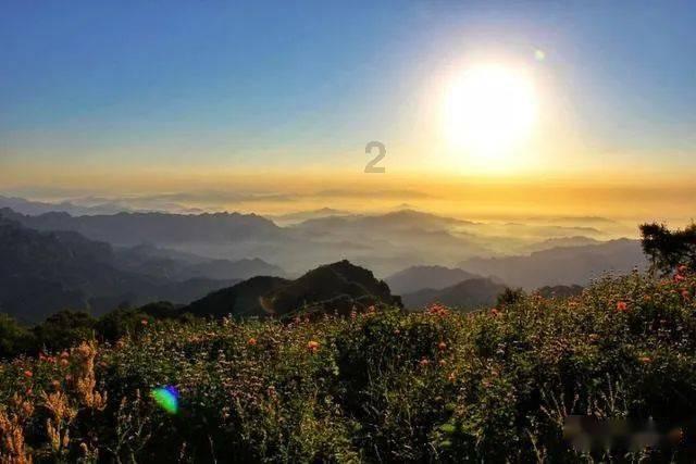 牛油果面包