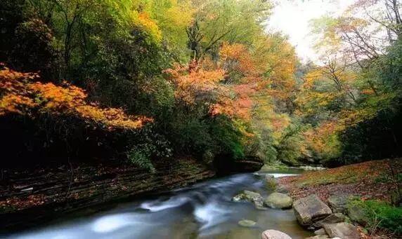一觉醒来,芯片巨头跳水;特朗普被判赔罚8330万美元