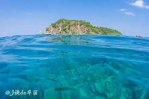 什么性格的孩子，长大后在社会中容易吃大亏？游戏画面