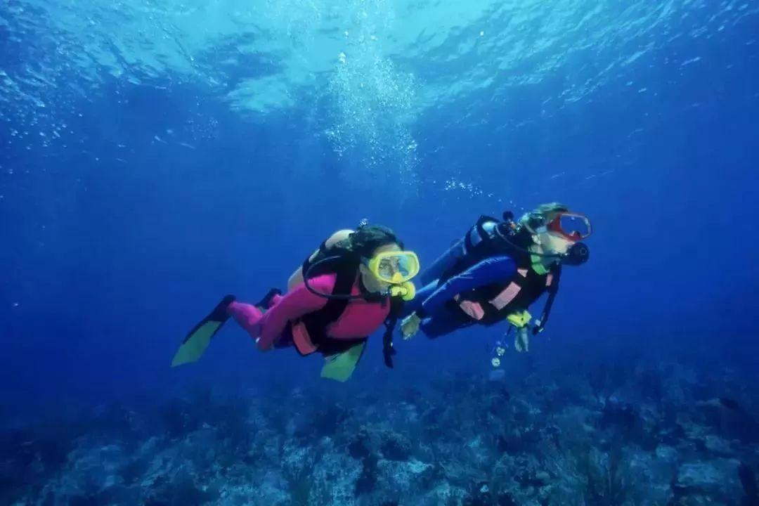 你的亲戚提过什么过分的要求？游戏画面