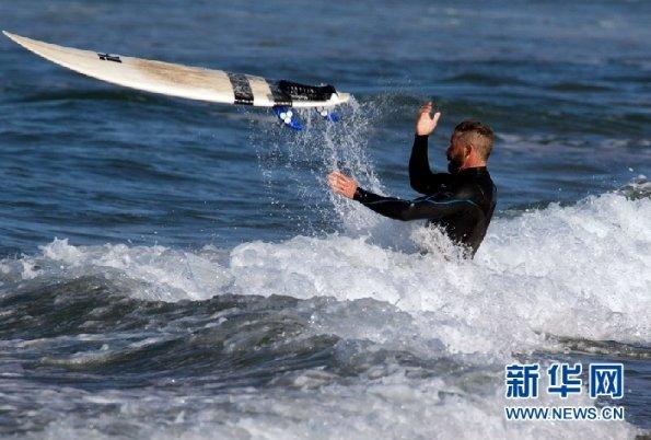 桔梗花代表是什么意思啊？游戏画面
