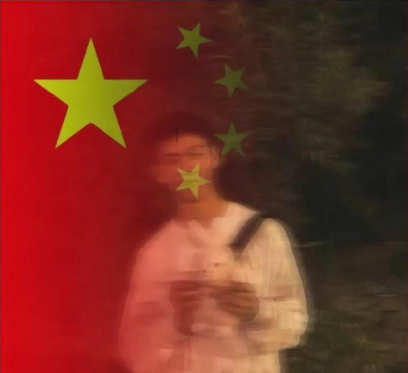 植物大战僵尸6