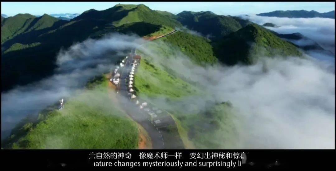 豪华轿车记忆卡