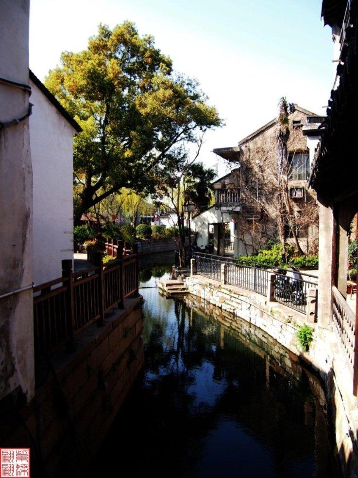 拯救巧虎2
