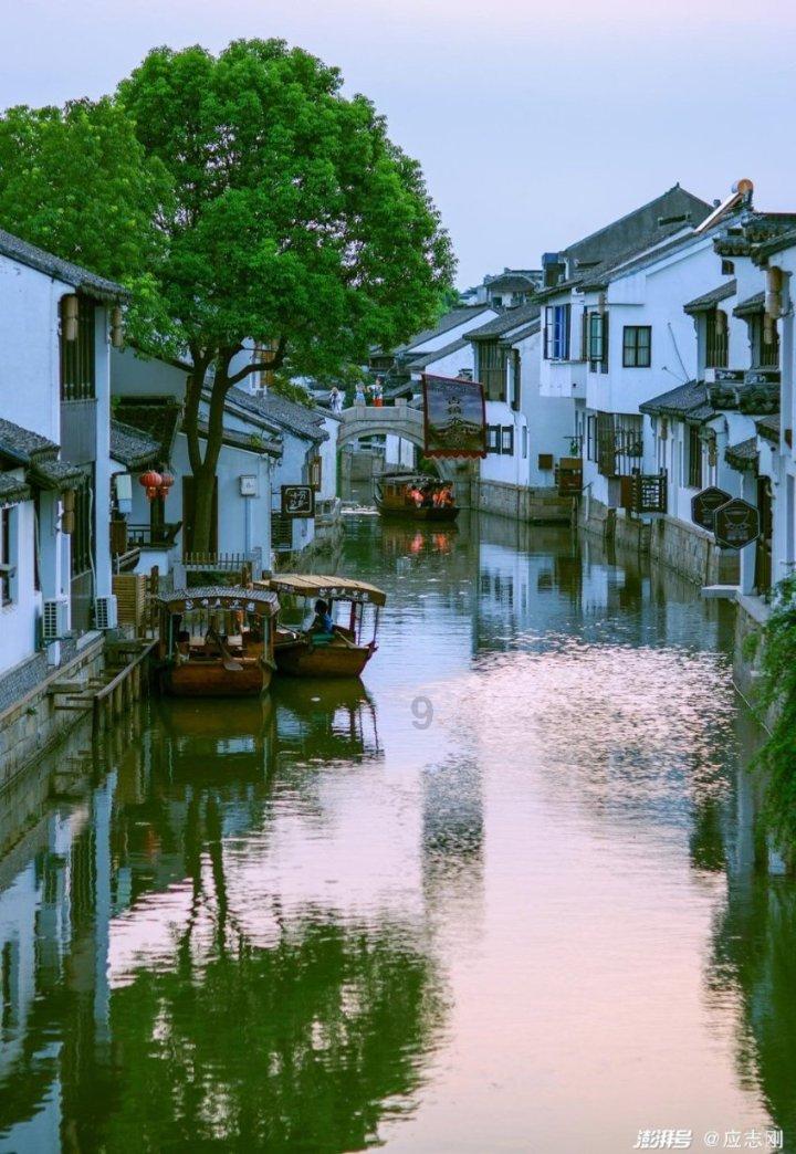 僵尸过人行道
