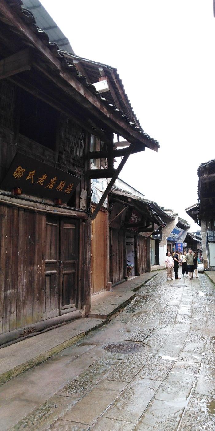 猪猪去冒险